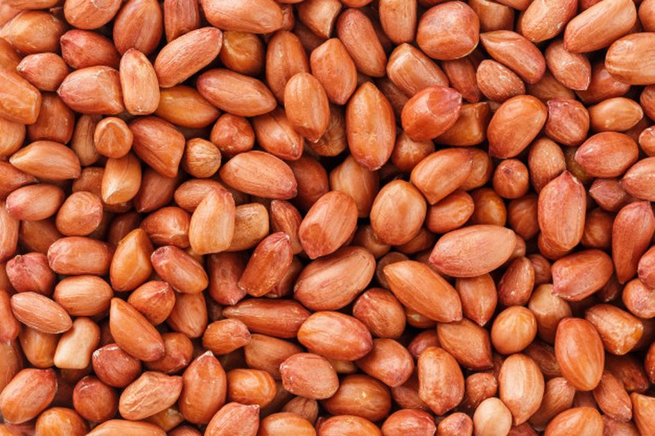 Manfaat Kacang Tanah untuk Kesehatan Tubuh